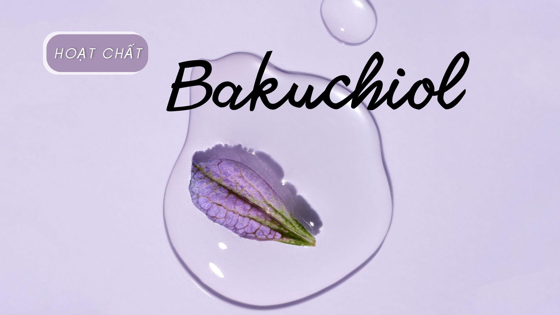 tac-dung-cua-bakuchiol-trong-cham-soc-da